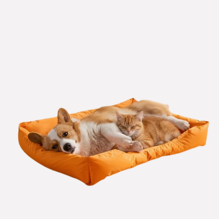 Breathable mesh dog bed for year-round cooling comfort, ideal for indoor/outdoor use.