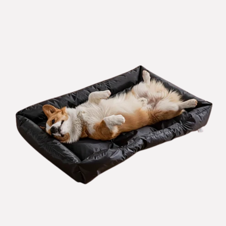 Unisex dog and cat bed with elevated mesh design for superior ventilation and pet comfort.