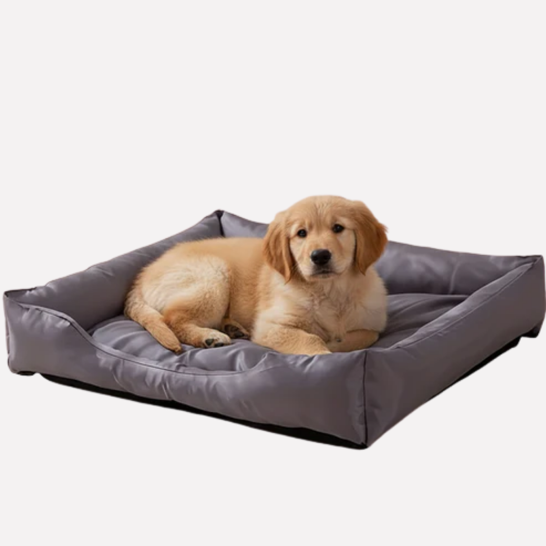 Cooling pet bed featuring durable, washable mesh fabric, perfect for dogs and cats.