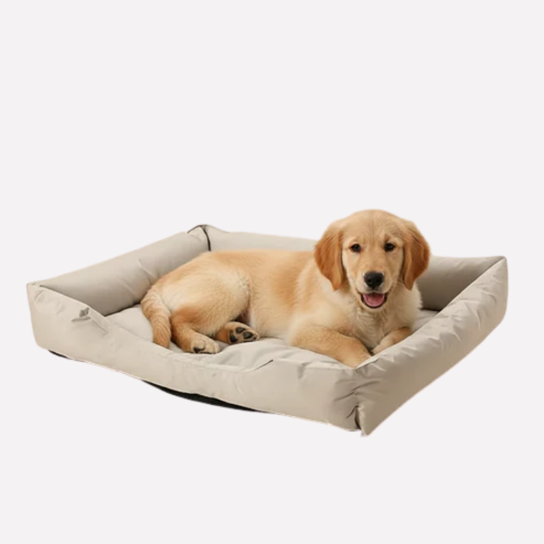 Elevated mesh cat and dog bed, a washable solution for pet comfort and cooling.