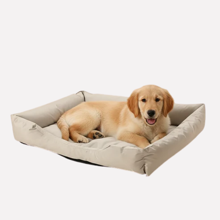 Elevated mesh cat and dog bed, a washable solution for pet comfort and cooling.