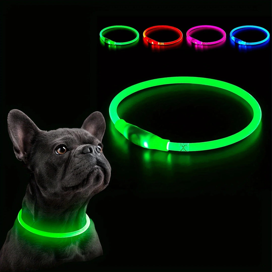 Dog wearing a red LED collar glowing brightly in the dark, enhancing visibility for night walks