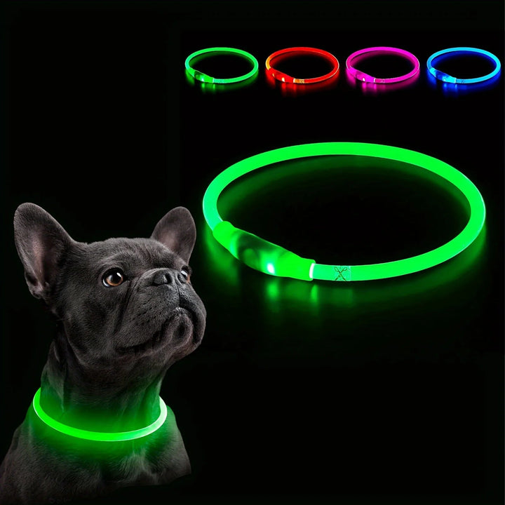 Dog wearing a red LED collar glowing brightly in the dark, enhancing visibility for night walks
