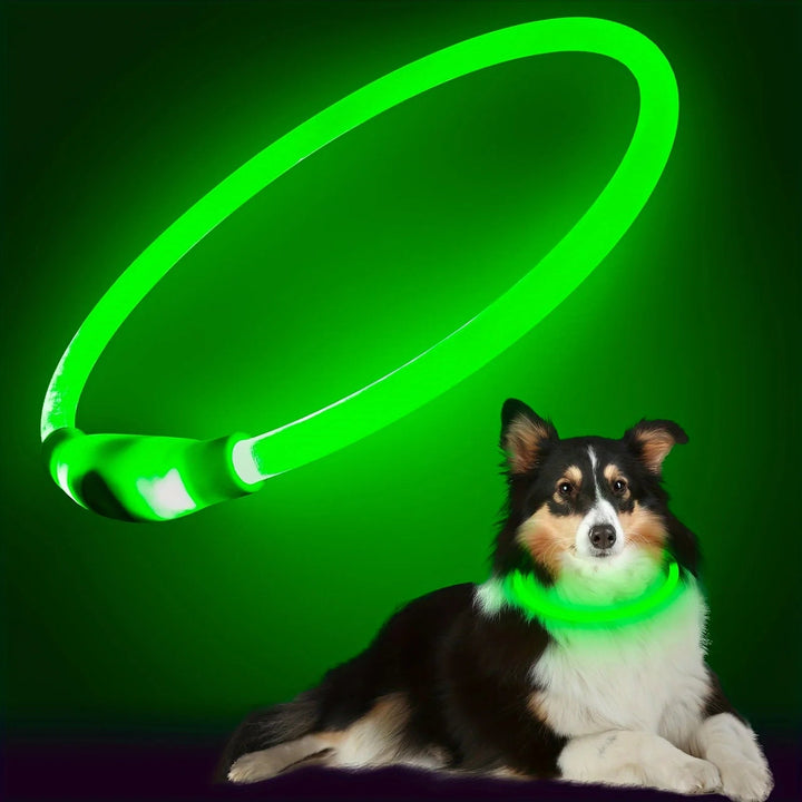 Durable, light-up LED dog collar in yellow, USB rechargeable for night safety and pet visibility