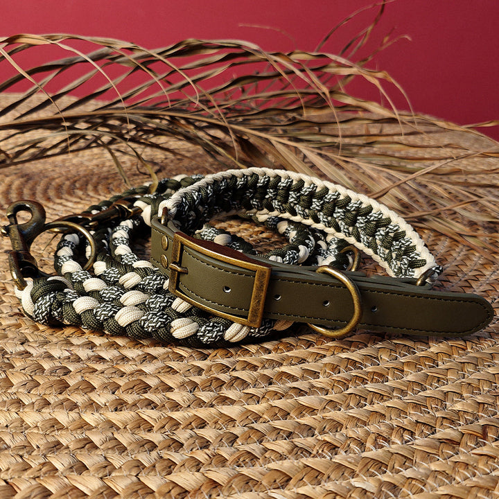 Brown leather dog collar with metal buckle, anti-pull design for dog walking