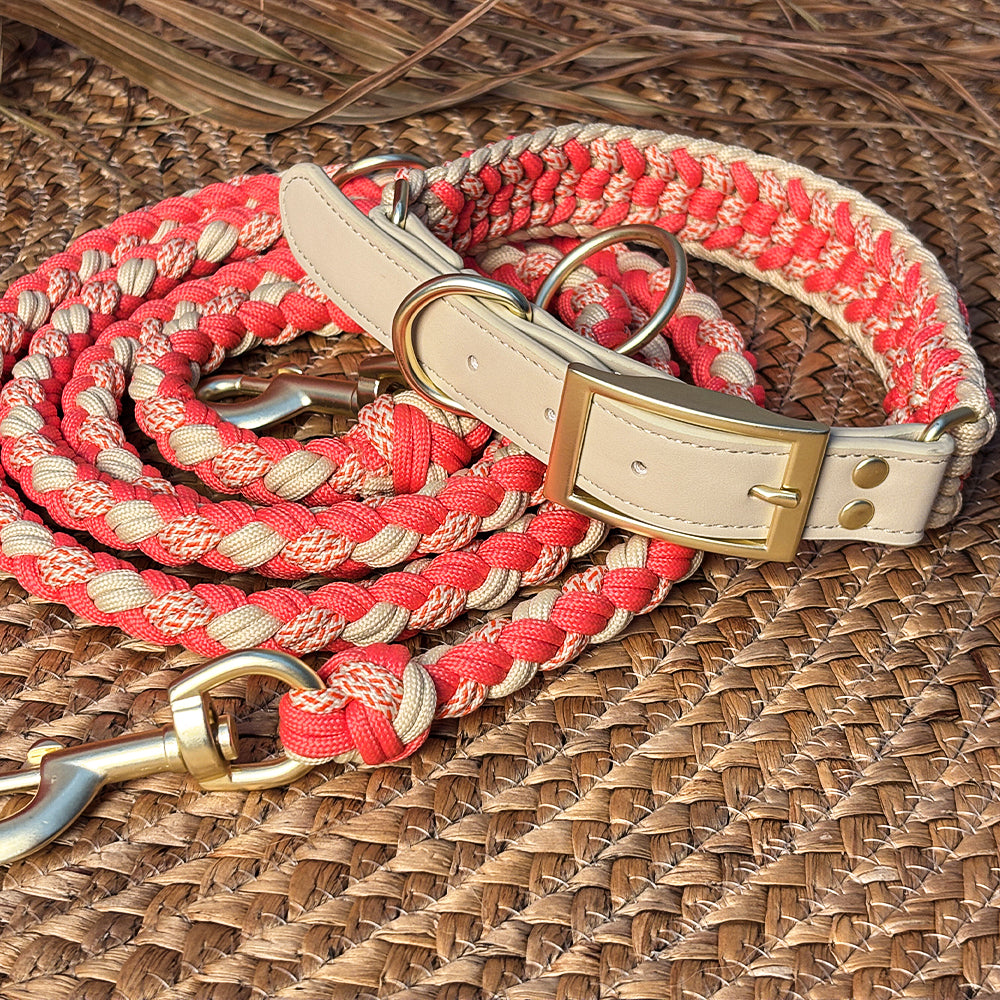 Close-up of leather dog collar with sturdy brass hardware, anti-pull feature