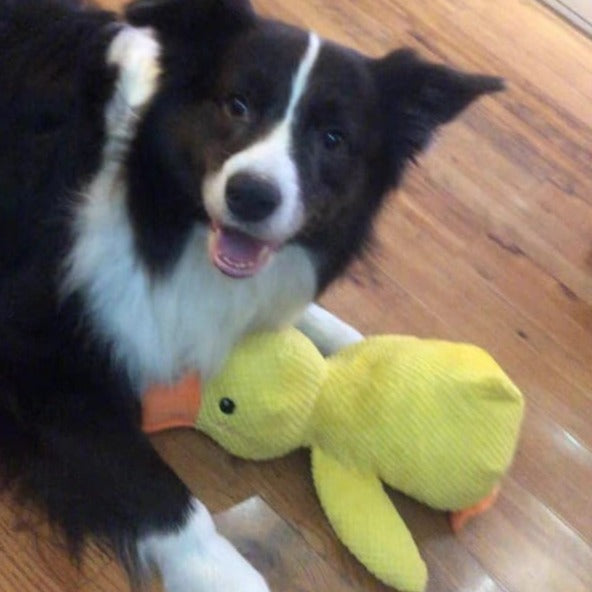 Soft duck toy for dogs, calming plush with deep quack sound, interactive pet supplies for play & rest