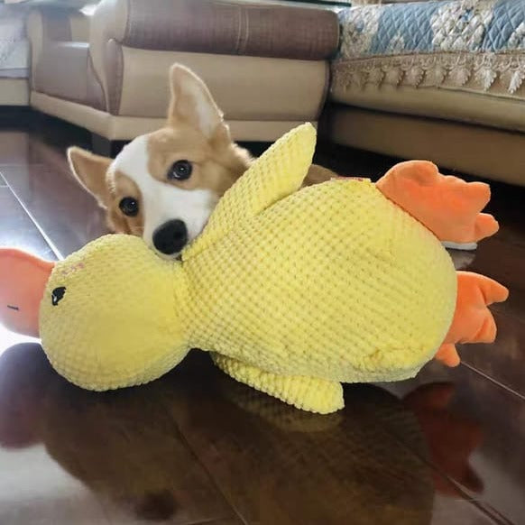 Deep quack duck plush dog toy, calming and durable chew toy for pets, ideal for enrichment supplies
