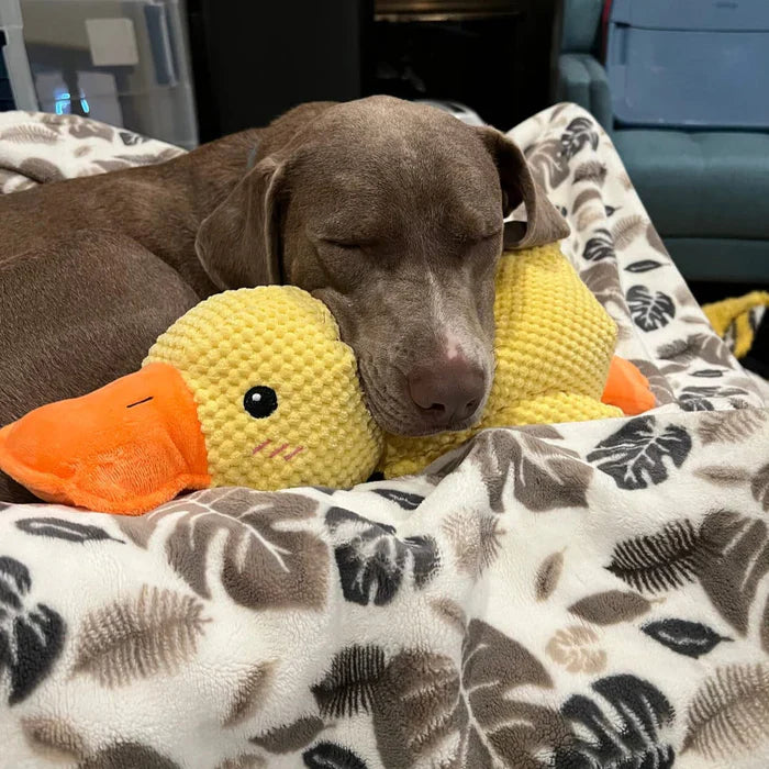 Dog toy, plush duck with deep quack sound, durable & calming for enrichment play, essential pet supplies