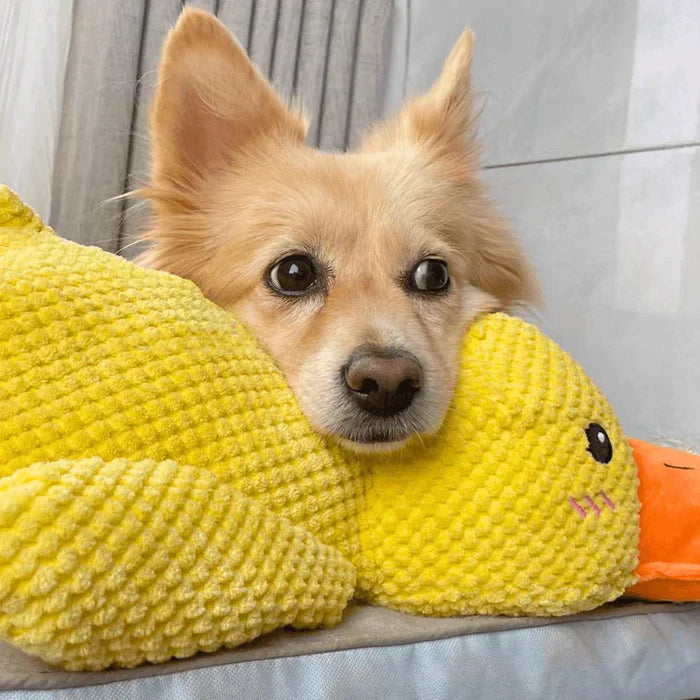 Chew toy duck for dogs, plush with deep quack sound, calming and interactive pet supplies for play