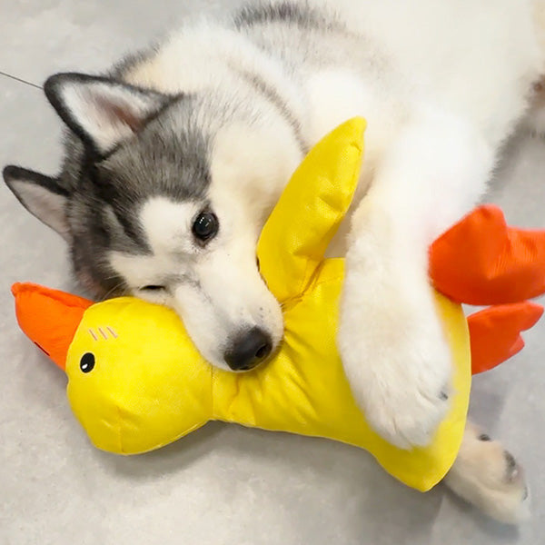 Soft plush duck dog toy, deep quack, calming pet supplies for anxious dogs, durable chew toy for fun