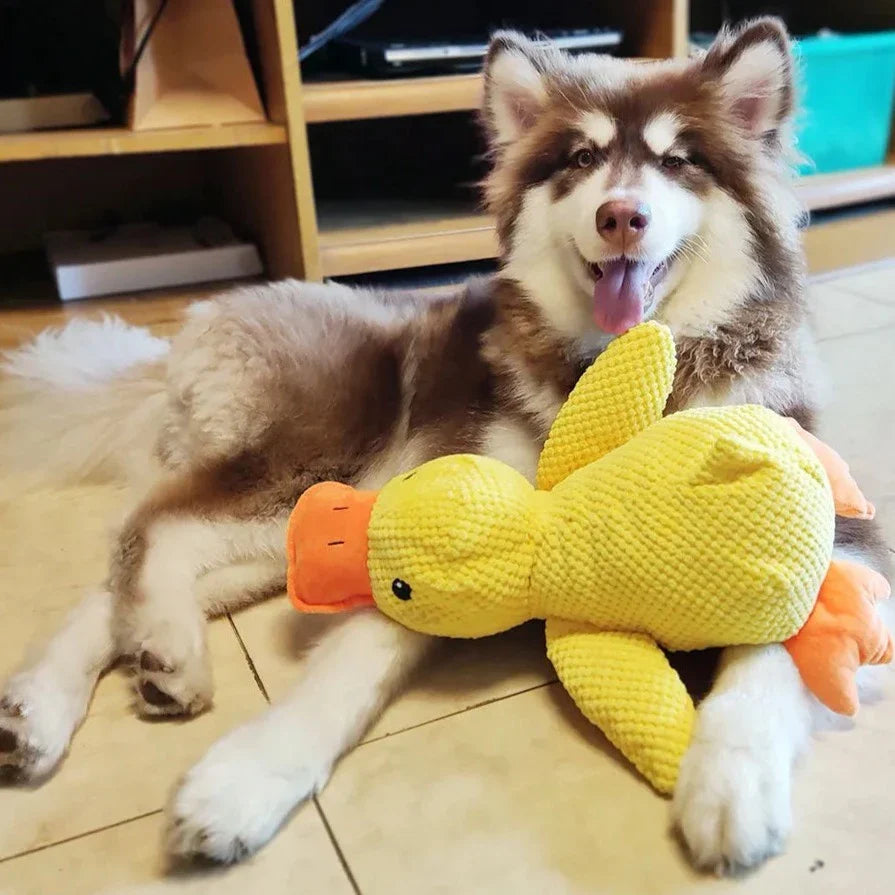 Dog duck toy, calming plush with deep quack sound, interactive pet supplies for enrichment & comfort