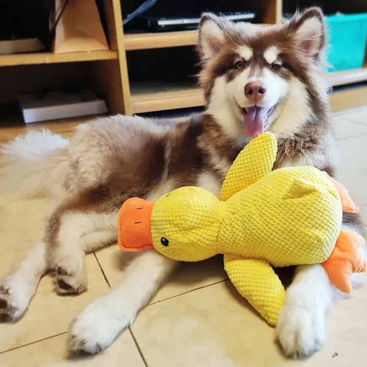 Dog duck toy, calming plush with deep quack sound, interactive pet supplies for enrichment & comfort