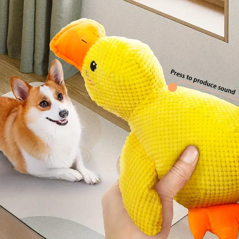 Durable duck plush dog toy, deep quack sound, comforting for anxious pets, engaging chew toy supplies