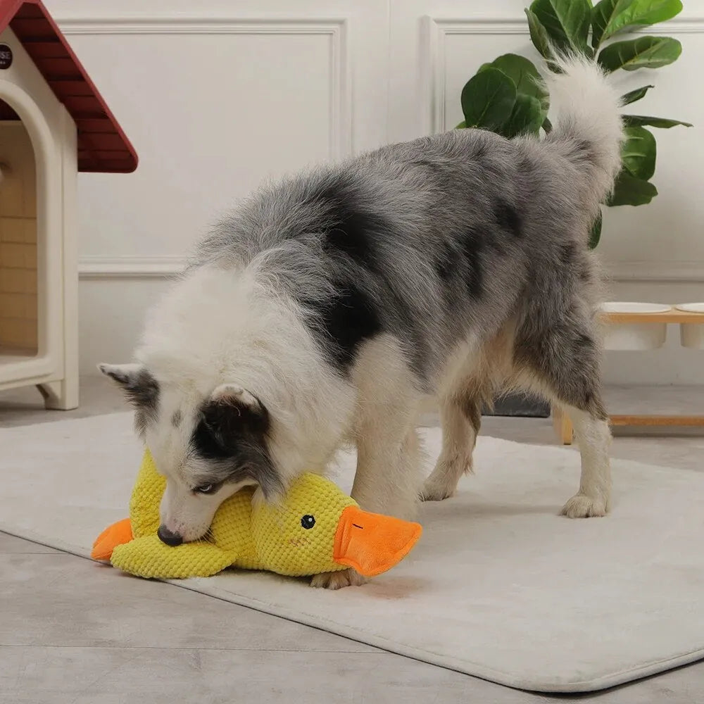 Interactive duck dog toy, plush with deep quack sound, enrichment chew toy for happy, calm puppies