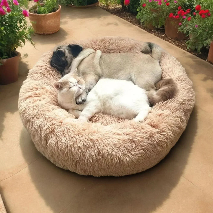 Washable calming plush dog bed, easy-care pet lounger for ultimate hygiene and comfort.