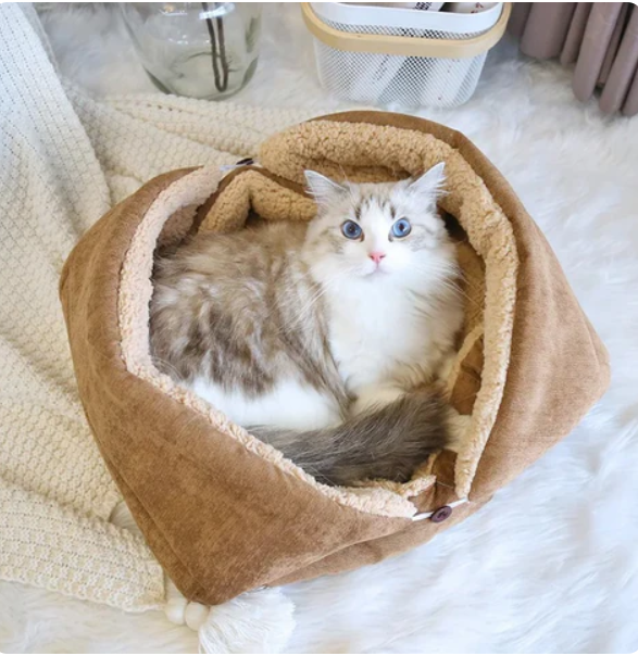 Cat 2-in-1 cozy pet bed with a warm blanket, perfect for small pets, washable for comfort.