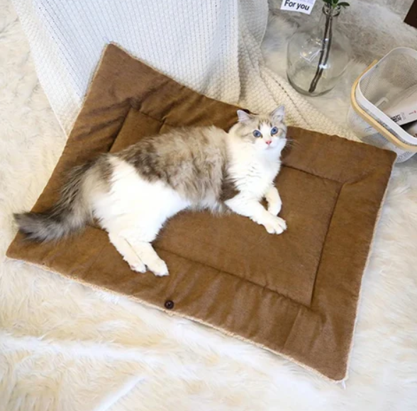 Plush 2-in-1 cat bed and pet blanket, offering a secure and warm spot for your cat.