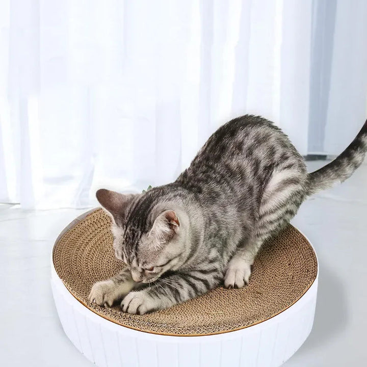 Comfortable cat bed and scratcher combo: Corrugated cardboard cat bowl scratch mat