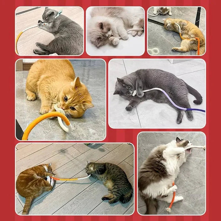 Eco-friendly cat toy: gallfruit dental chew rope, safe and durable