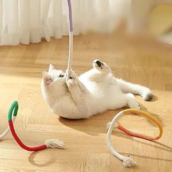 Kitten dental chew toy made from rope and gallfruit, ideal for active play