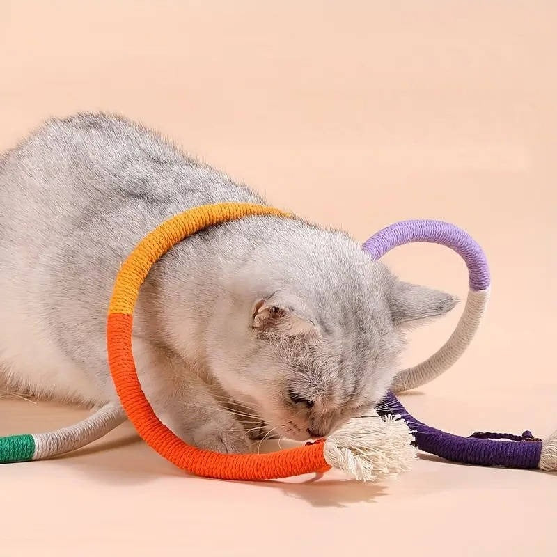 Interactive cat toy: gallfruit dental chew rope for engaging feline fun