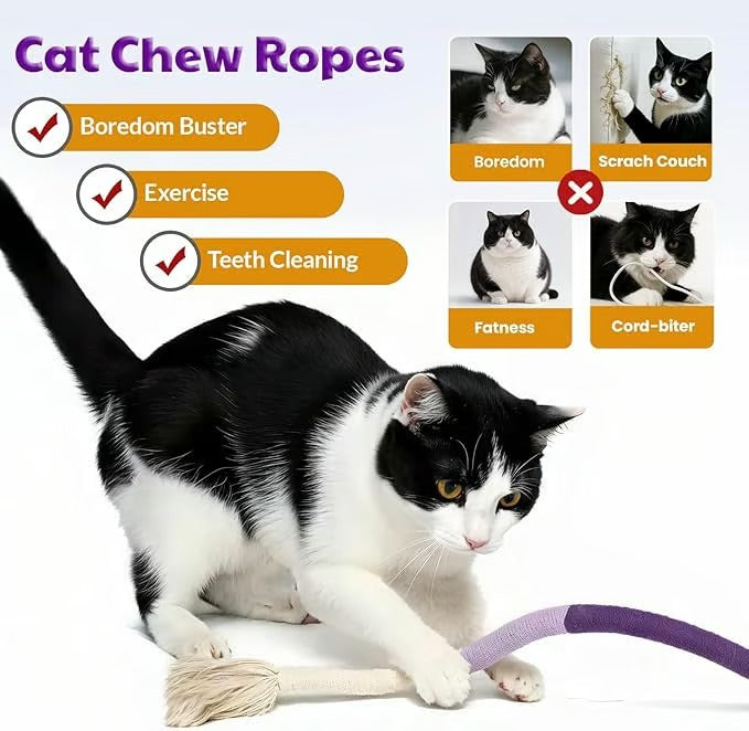 Healthy cat dental chew rope toy, enriched with enticing gallfruit for kittens