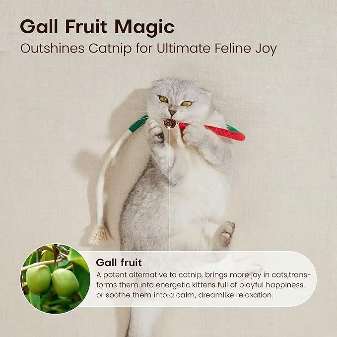 Gallfruit chew rope: a natural and effective dental care toy for cats
