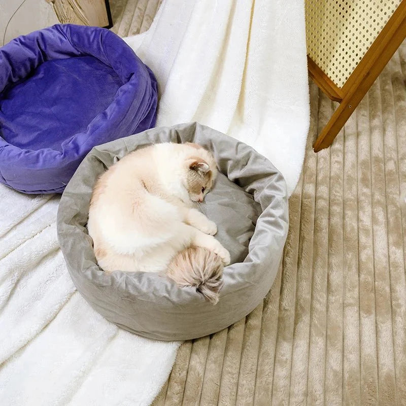 Beige round cat plush bed featuring an egg tart design, ideal for a cozy cat nap.