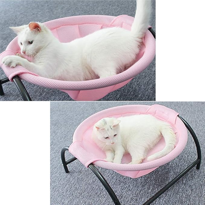 Cat elevated hammock bed with sturdy black metal frame for ultimate pet comfort