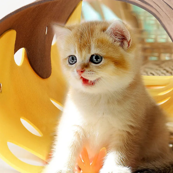 Cat exploring 3-way flexible interactive play tunnel with peek holes, gray felt, enriching pet accessory.