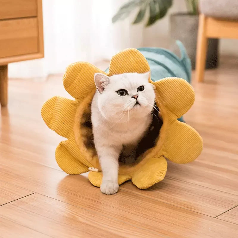 Colorful cat tunnel with a flower design, offering a fun hideaway and interactive toy for cats.