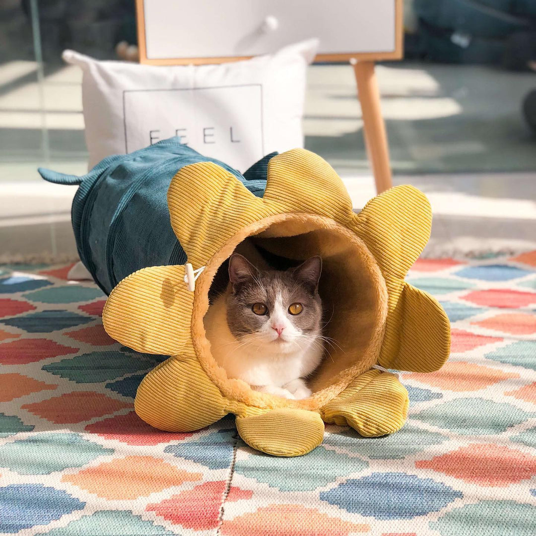 Pet accessory: flower-shaped cat play tunnel and lounger, a cozy cat bed and engaging toy.