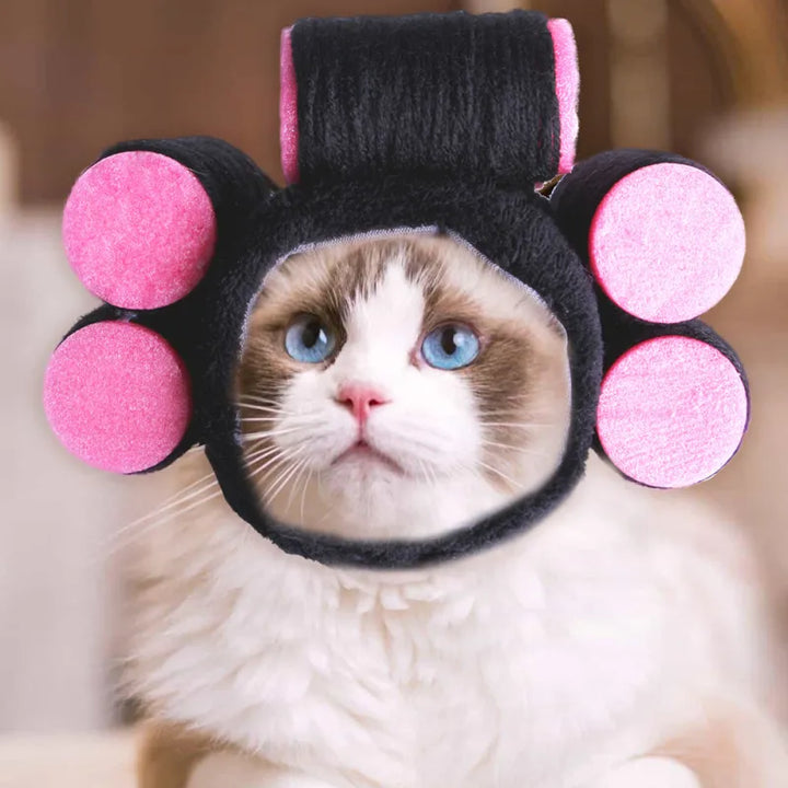 Cat model showcasing hair treatment with pet curlers from the Cat Grooming Kit for luscious feline coats.