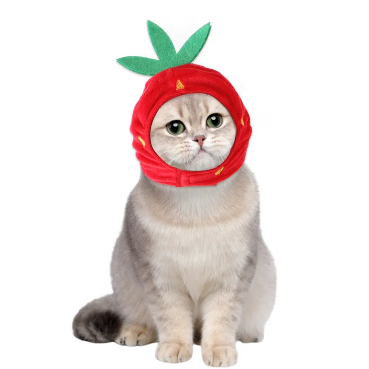 Instruction manual for the Cat Grooming Curlers Kit, guiding users in pet hair treatment and coat care.