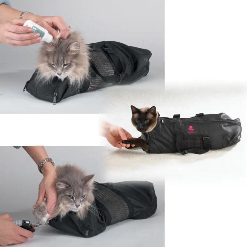 Close-up of a cat inside a grooming restraint bag, showing secure zippers & adjustable straps for safety.
