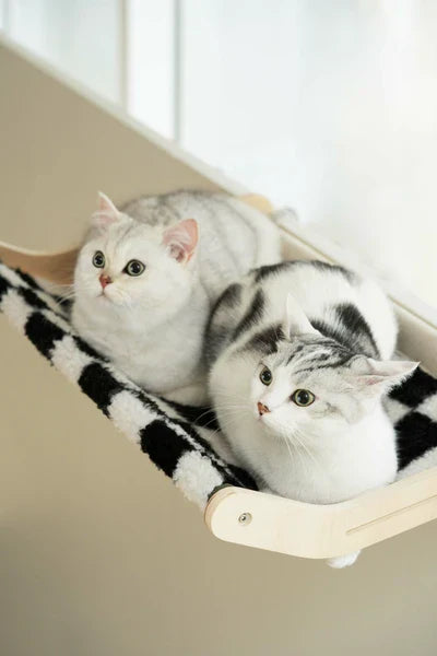 Cat bed hammock, space-saving pet accessory, ideal for small spaces