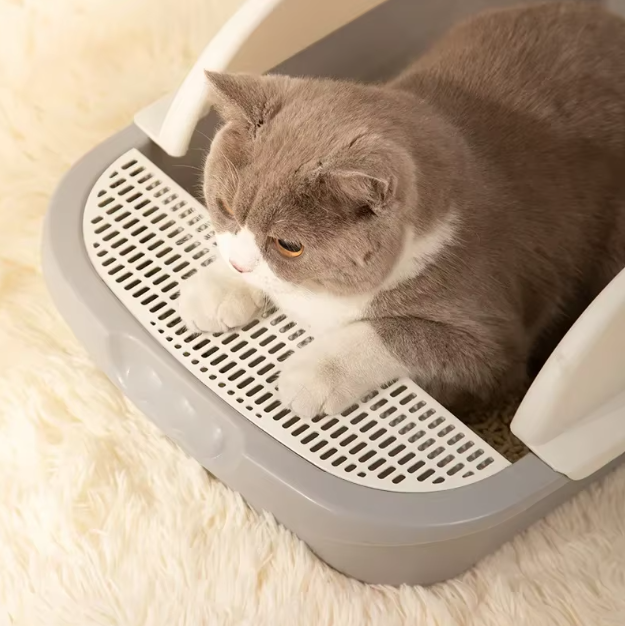 Empty cat litter tray, spacious design for pet comfort, odor control-ready, easy clean