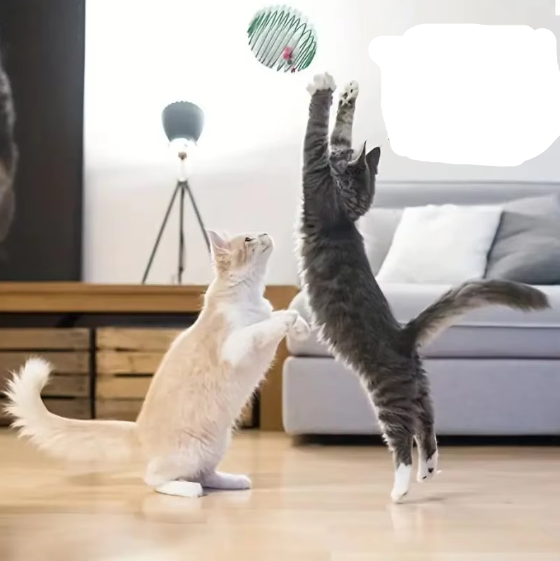 Pet supplies: Cat Mice in Spiral Cage, a durable and interactive toy for hours of fun