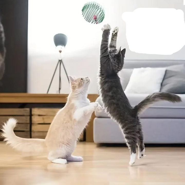 Pet supplies: Cat Mice in Spiral Cage, a durable and interactive toy for hours of fun