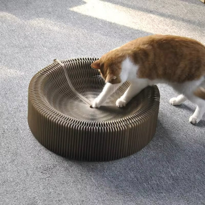 Cat Multi-functional Scratching Play Bed with wavy scratcher, ideal pet furniture for playful cats.