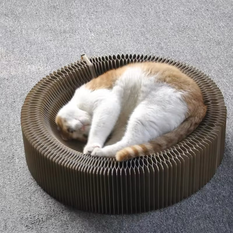 Beige Cat Multi-functional Scratching Play Bed, a comfy cat bed and durable scratching post combo.