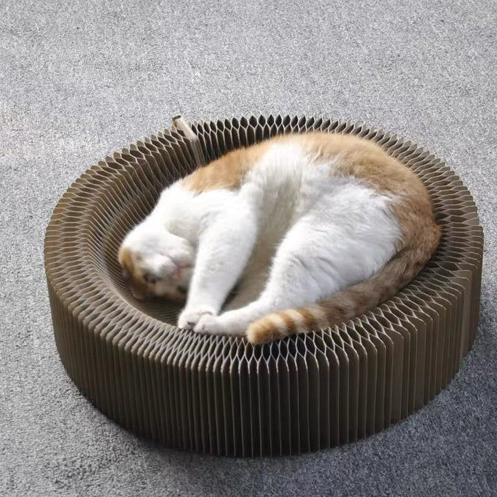 Beige Cat Multi-functional Scratching Play Bed, a comfy cat bed and durable scratching post combo.