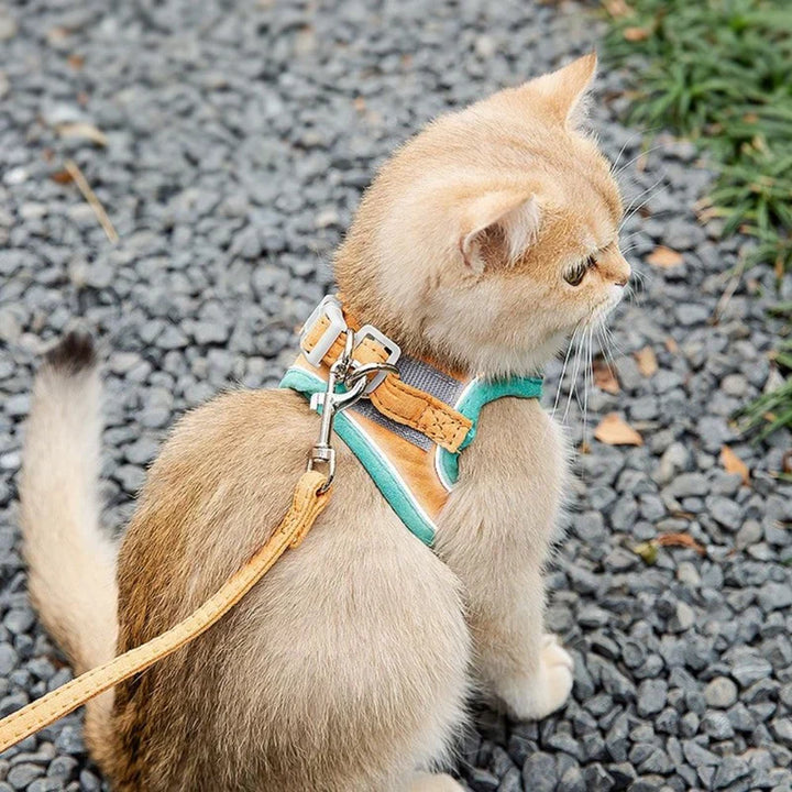 Cat safety harness with reflective strips, comfortable and adjustable for outdoor walks