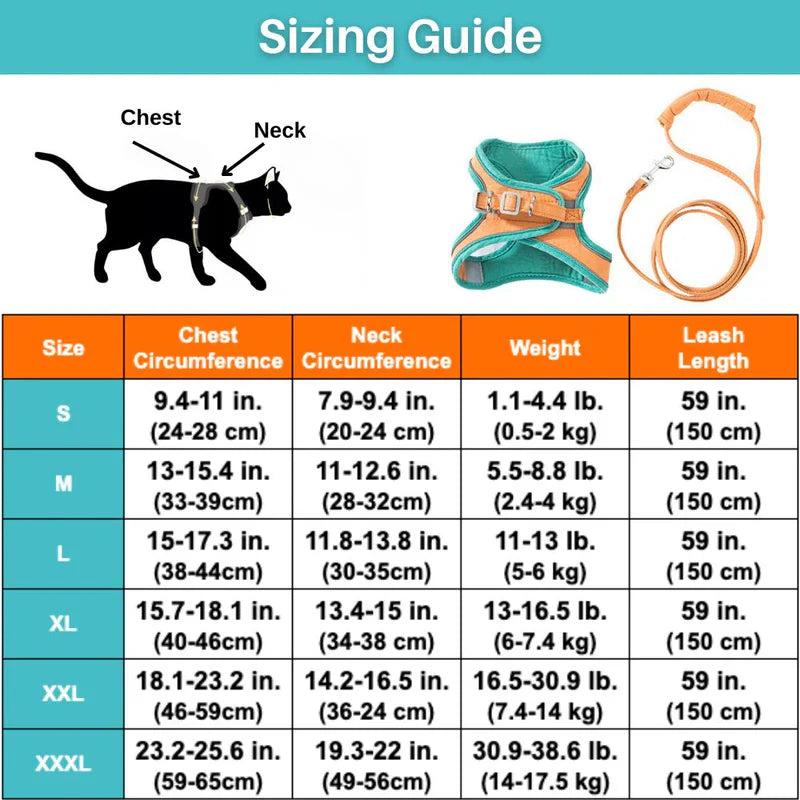 Cat walking harness with reflective piping, ensuring pet's visibility and safety