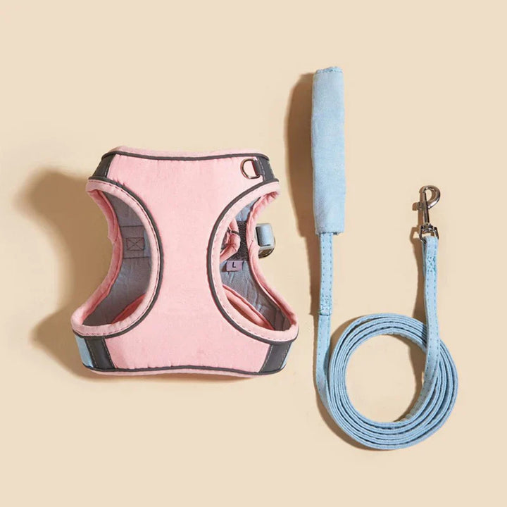High-visibility cat harness, reflective elements for safe walking in low light