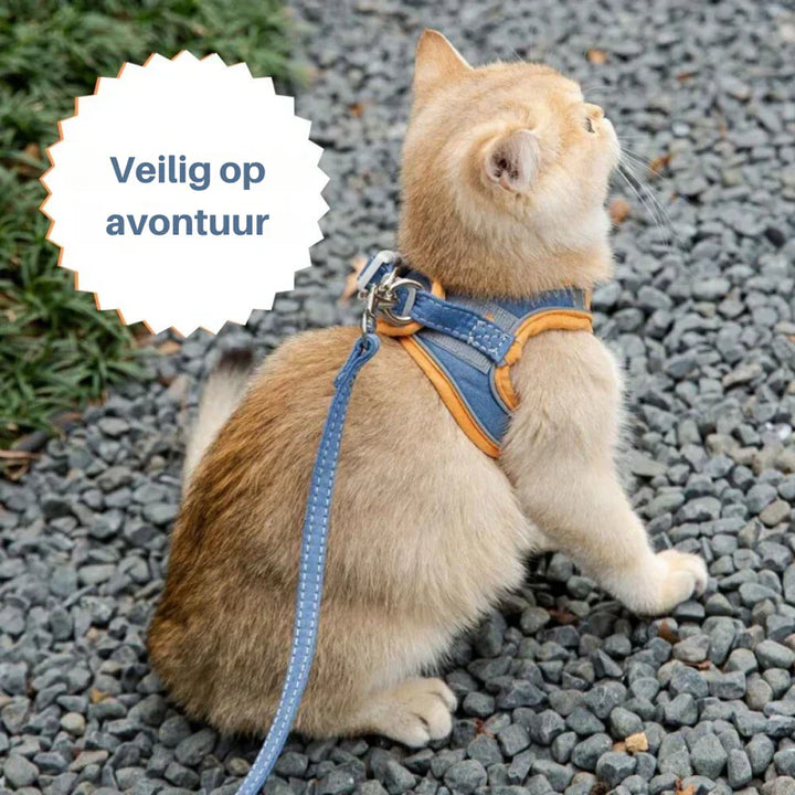 Comfort-fit cat harness with reflective accents for night walks and training