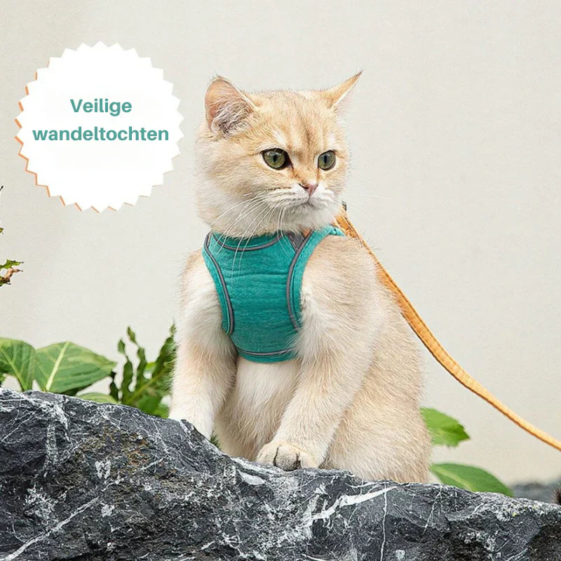 Durable reflective cat harness, an essential accessory for outdoor cat safety
