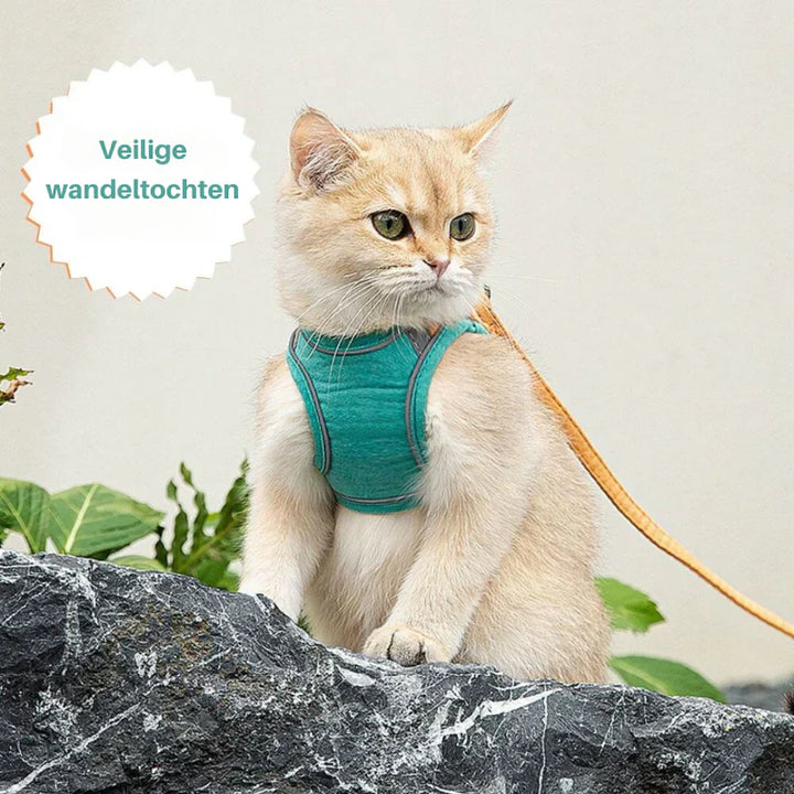 Durable reflective cat harness, an essential accessory for outdoor cat safety