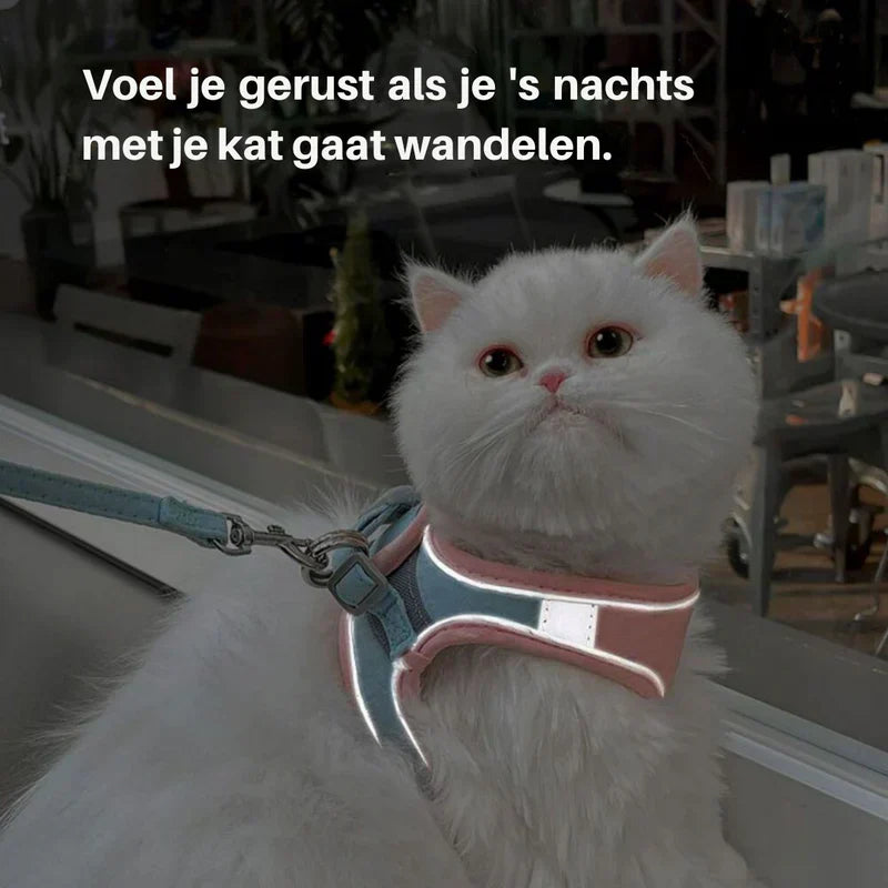 Premium cat safety harness, reflective design for night time and outdoor use